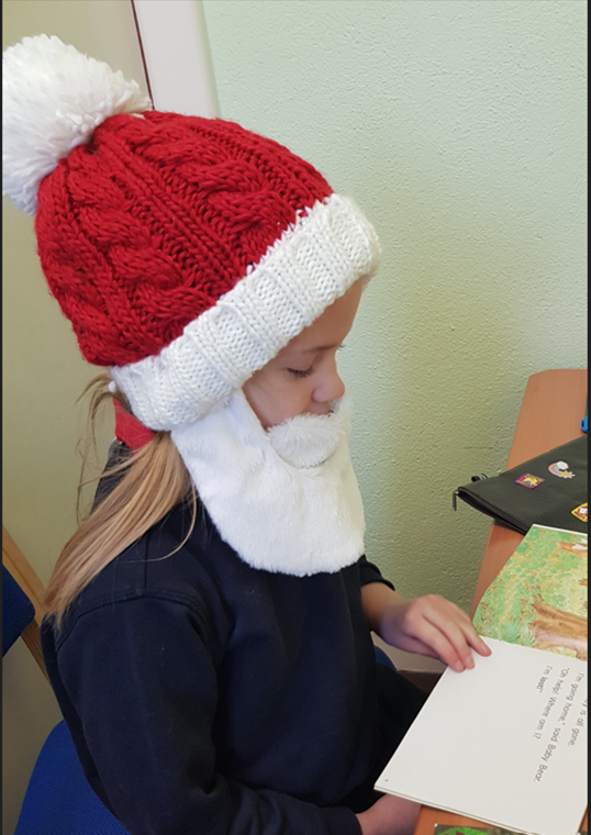 Oide Primary Literacy tweet media