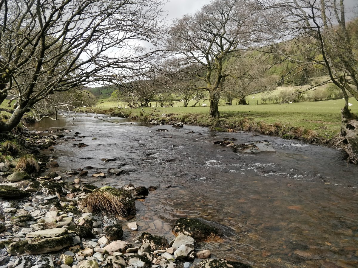 Simon Creer tweet media