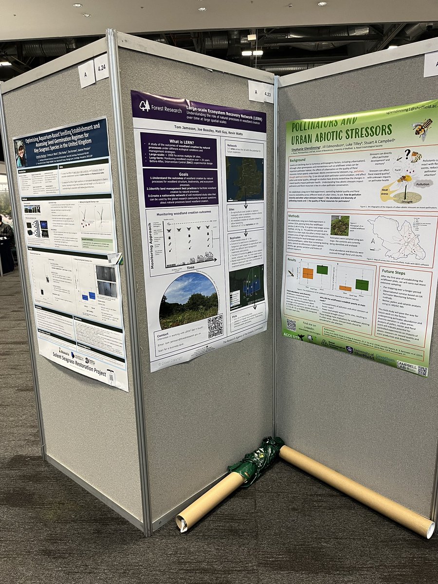 Tom Jameson (@tomjameson_zoo) on Twitter photo Do you like woodland restoration by natural processes? Do you like rigorous long-term experiments? Do you like posters? If so come visit my poster at stand 4.23 at #BES2024. 🌳🌲<a href="/BritishEcolSoc/">British Ecological Society</a> <a href="/Forest_Research/">Forest Research</a> <a href="/FR_LUES/">Forest Research LUES Group</a> Do you like woodland restoration by natural processes? Do you like rigorous long-term experiments? Do you like posters? If so come visit my poster at stand 4.23 at #BES2024. 🌳🌲<a href="/BritishEcolSoc/">British Ecological Society</a> <a href="/Forest_Research/">Forest Research</a> <a href="/FR_LUES/">Forest Research LUES Group</a>