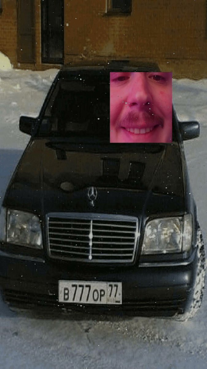 Loup_mp4 tweet media