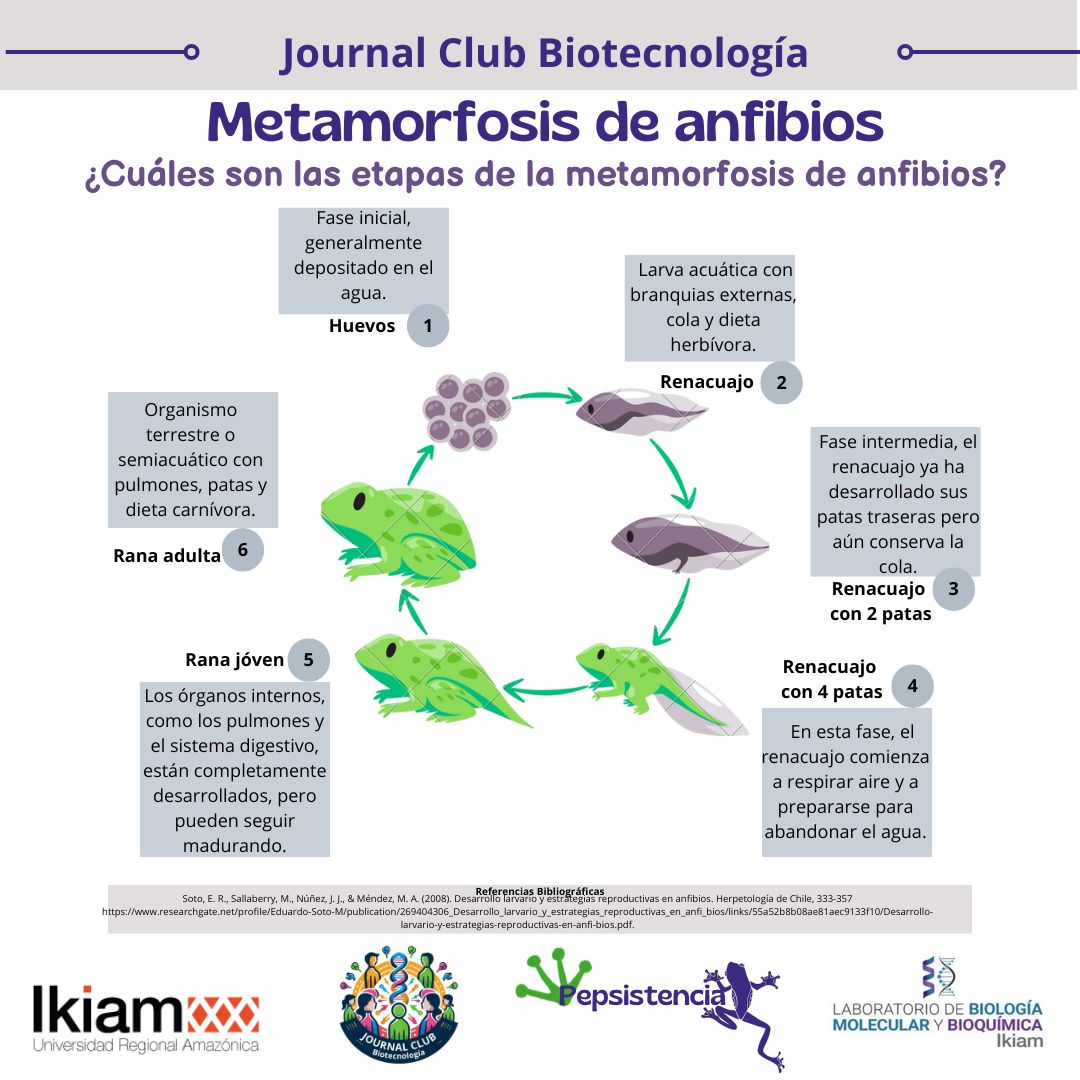 Journal Club Biotechnology tweet media