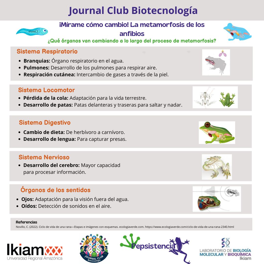 Journal Club Biotechnology tweet media