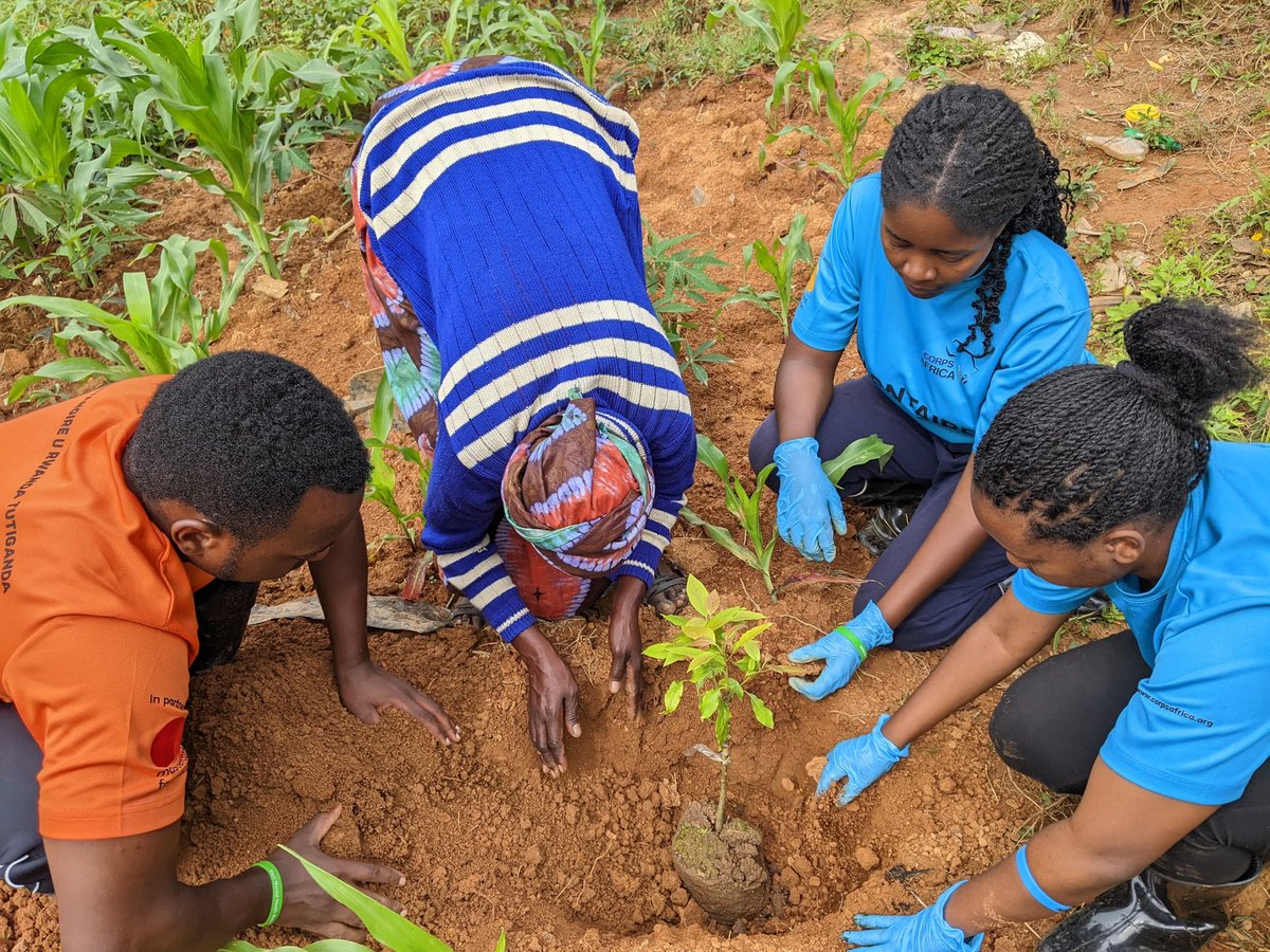 MSaintique123's tweet photo. Planted avocado trees to support a greener and more sustainable future. Proud to contribute to environmental preservation!
#ThisIsCorpsAfrica
#TreePlanting
#CorpsAfrica
#Sustainability https://t.co/FjGB5ZWRMC