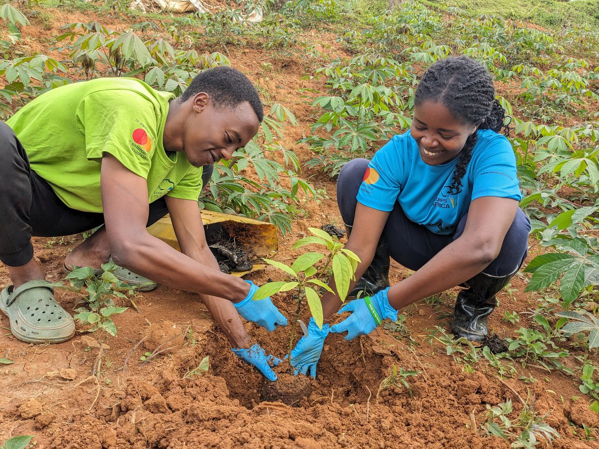 MSaintique123's tweet photo. Planted avocado trees to support a greener and more sustainable future. Proud to contribute to environmental preservation!
#ThisIsCorpsAfrica
#TreePlanting
#CorpsAfrica
#Sustainability https://t.co/FjGB5ZWRMC