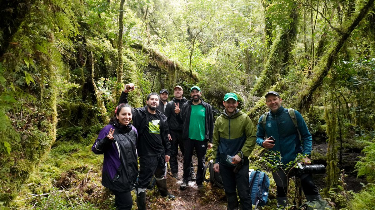 ladera_sur's tweet image. #ArtículoLS Pandemia de los anfibios devasta las poblaciones más grandes de ranita de Darwin🐸

🌐Un trabajó en conjunto con una red global de científicos para salvar a la ranita de Darwin, un anfibio emblemático de Chile.

🔗Revisa más detalles aquí:👇
ow.ly/YFWv50UpohZ