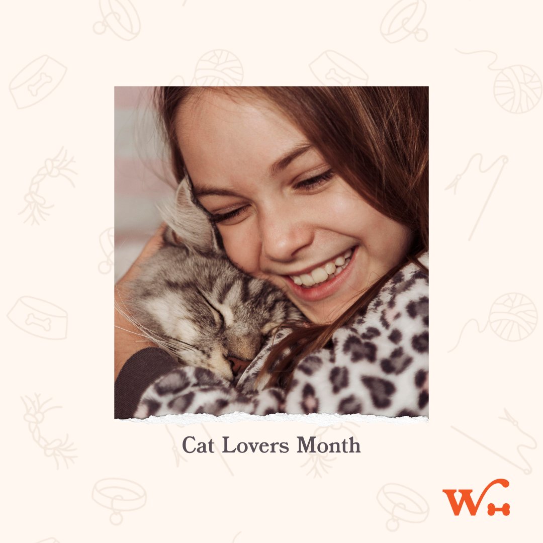 Wishbone_Pet's tweet photo. December is Cat Lovers Month—are you celebrating? 🐱❤️

Tag a fellow cat lover and let’s celebrate the purrs, whiskers, and toe beans that make life pawsitively amazing! 🐾✨

#CatLovers #WishbonePetInsurance #Pets #CuteCats https://t.co/fTggYWAmWC