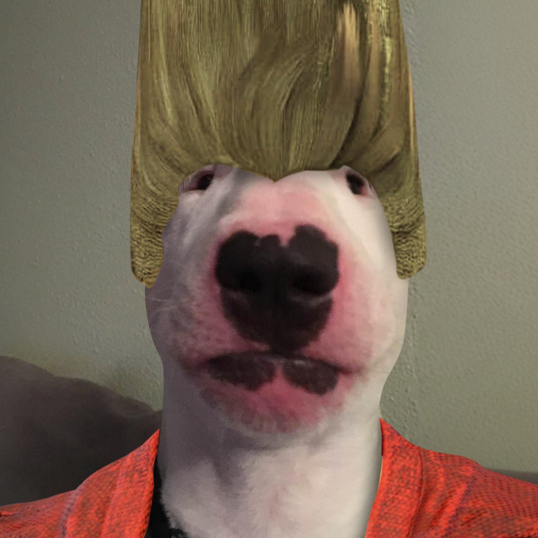 WalterDogs's tweet photo. PAUL PHOENIX $WALTER https://t.co/8rWgggDCbF