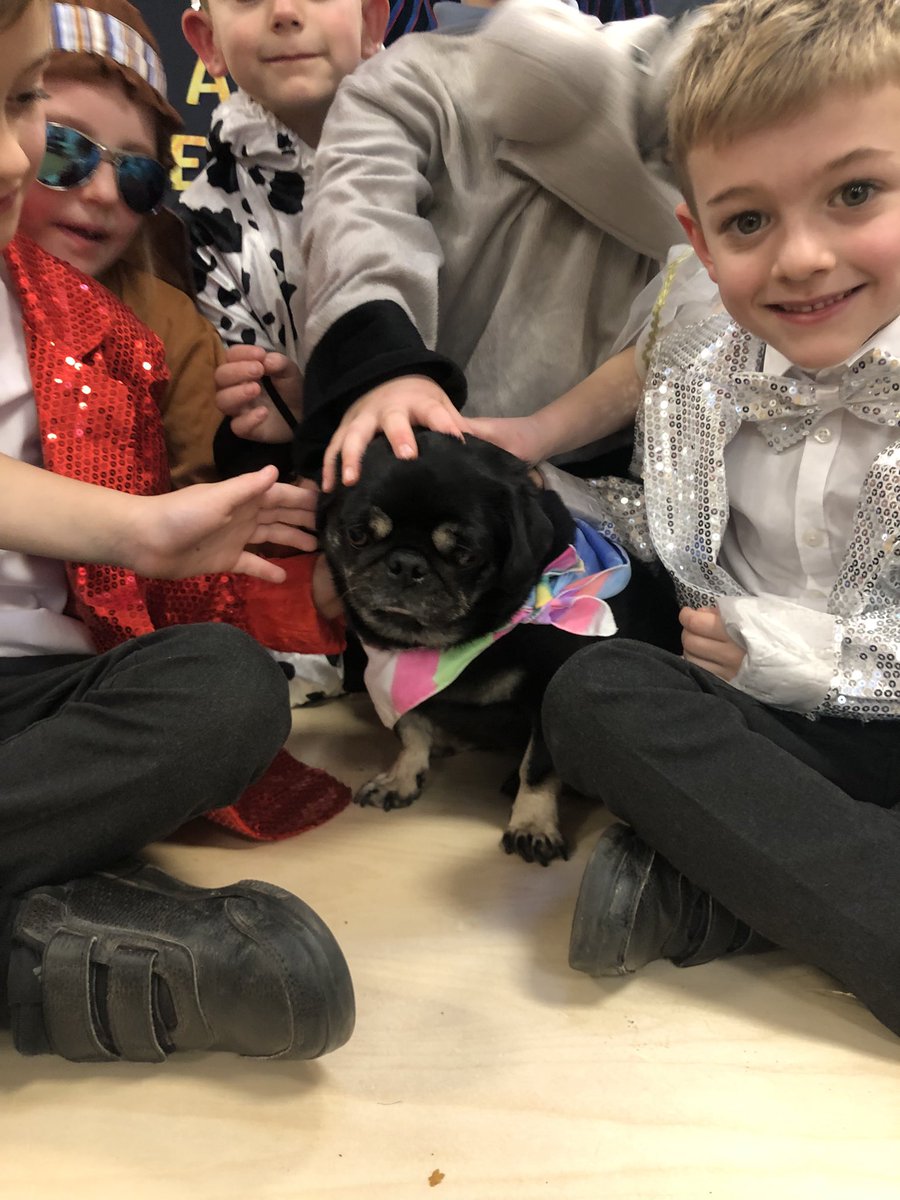 The Staffordshire Schools Multi Academy Trust (@tssmat1) on Twitter photo Families and friends had such a fabulous afternoon at All Saints, Ranton’s nativity play - Straw and Order. Children were confident, clear and clearly enjoyed themselves. Well done and thank you. Families and friends had such a fabulous afternoon at All Saints, Ranton’s nativity play - Straw and Order. Children were confident, clear and clearly enjoyed themselves. Well done and thank you.