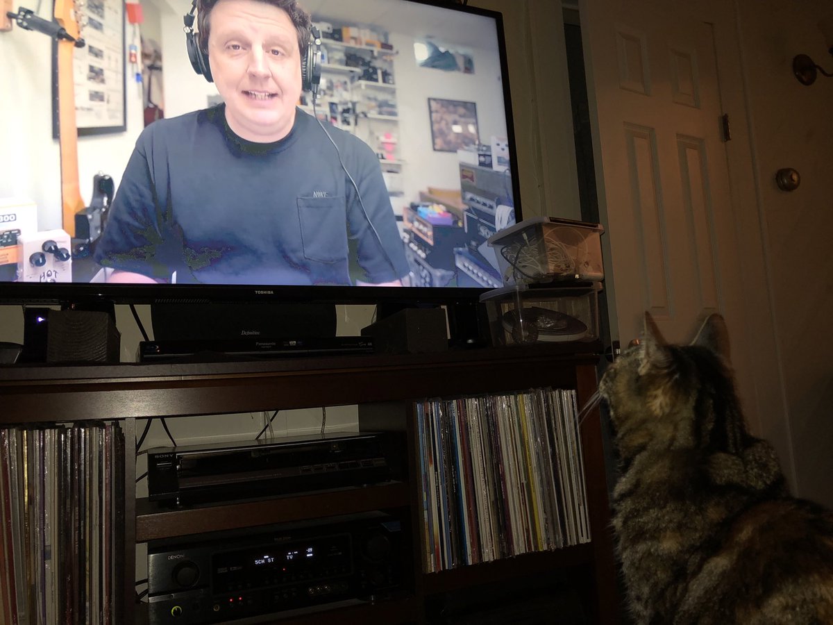 Mark Cleaver tweet media