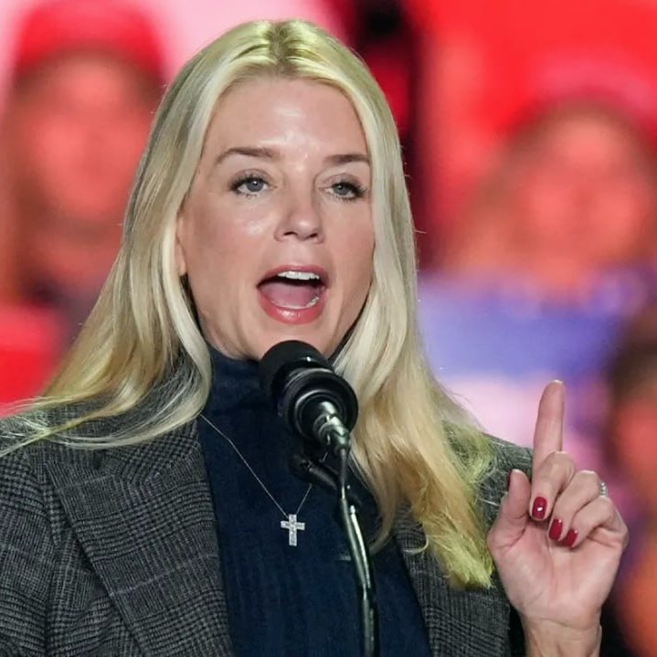 ElephantSignal's tweet photo. Raise your hand ✋ if you would support an investigation by Pam Bondi into the role Adam Schiff had in the Russia Collusion hoax https://t.co/6YFKtbZAf1