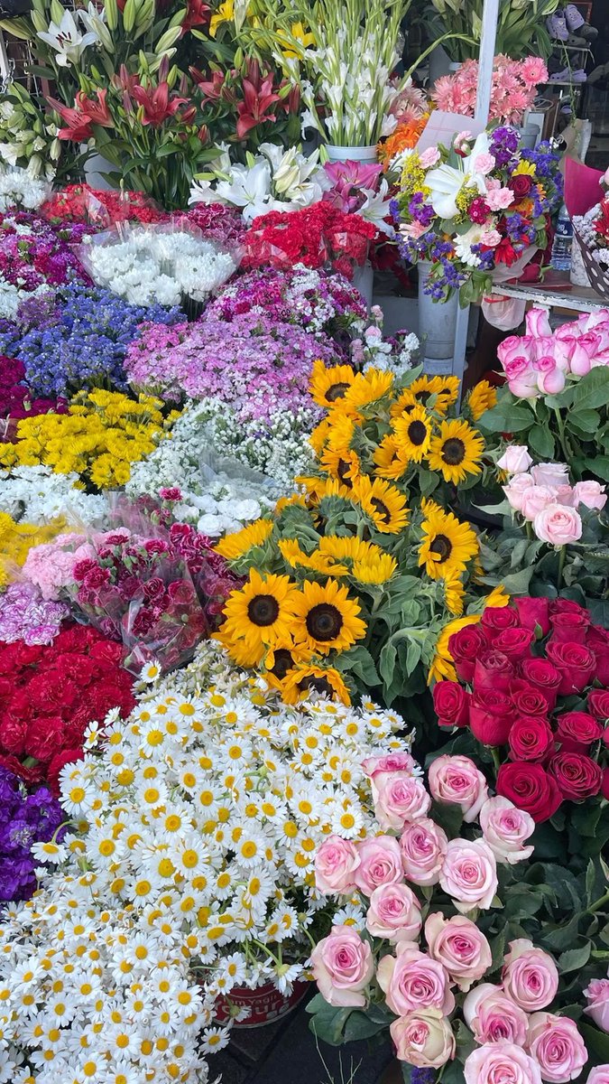 Çiçeklendiniz (@ciceklendirdik) on Twitter photo 