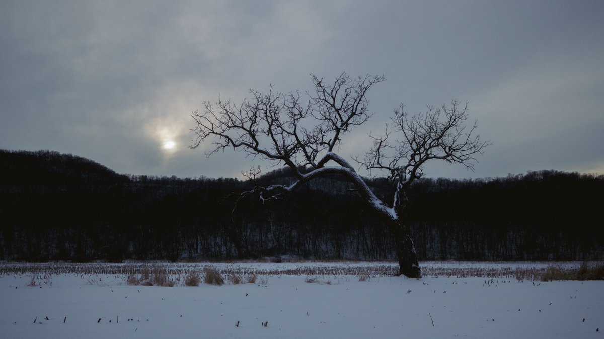 jayanthonyolson's tweet photo. Frostbitten country. https://t.co/yLREW4Px3e