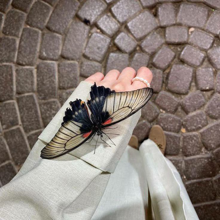 مَن يتجرأ أن يلوي ذِراعك ، إصفعهُ بالأُخرى .