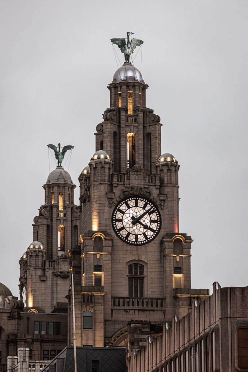 NMA Media tweet media