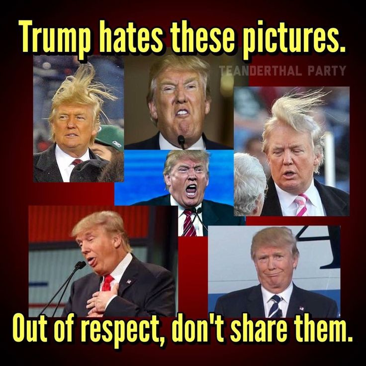 How much do you respect Trump?

A). I don't, I'm posting them!
B). A little, I may not.
C). I won't post them at all.