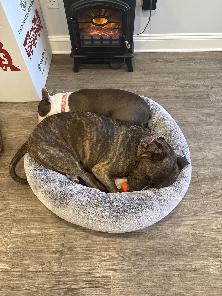 ImTrispyOK's tweet photo. Coworkers smh https://t.co/fYtBVcovKv