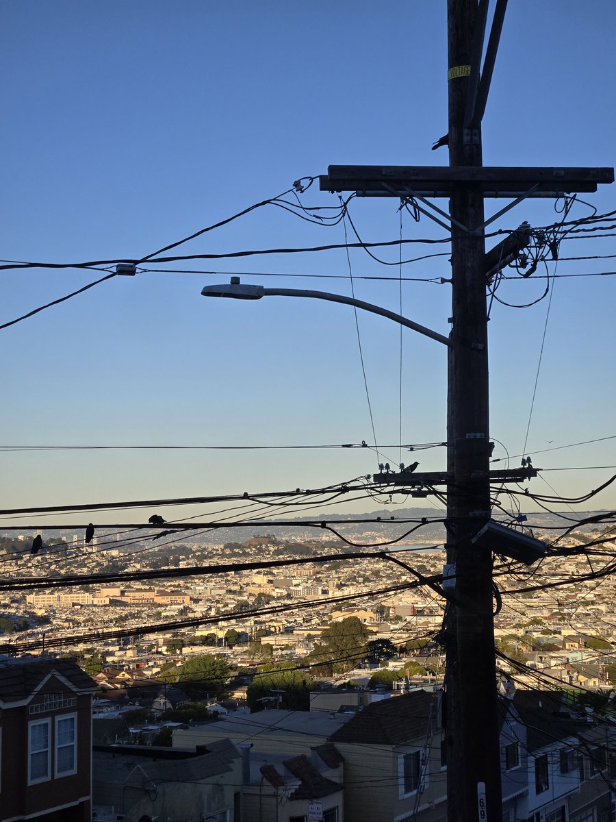 kidvishious's tweet image. Crows perching, flying, &amp;amp; scouting 🐦‍⬛🐦‍⬛🐦‍⬛
#Crows
#MurderOfCrows