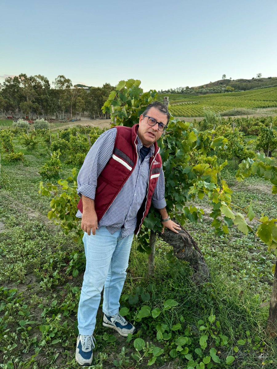 Vinotasting tweet media