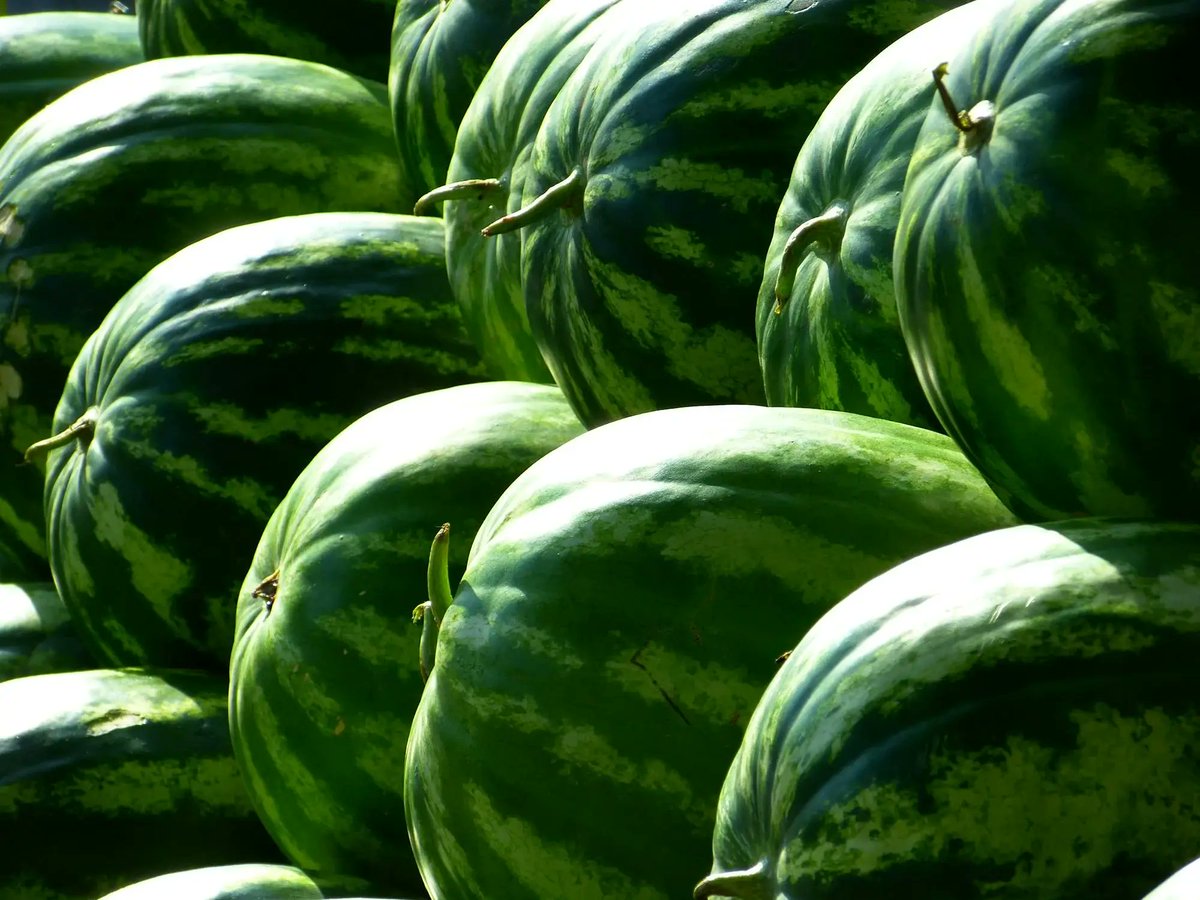 #GartnerIO VP Analyst Gregg Siegfried warns about  “watermelon dashboards” — green on the outside yet hiding red underneath. We say,  “smash those watermelon dashboards with deep, end-to-end visibility that goes behond monitoring tools!”