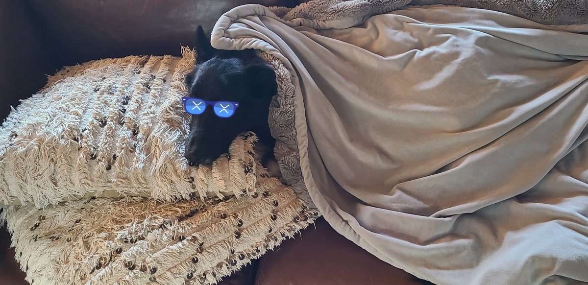 <a href="/JoelKatz/">David 'JoelKatz' Schwartz</a> Not good.  You were supposed to find him like this.