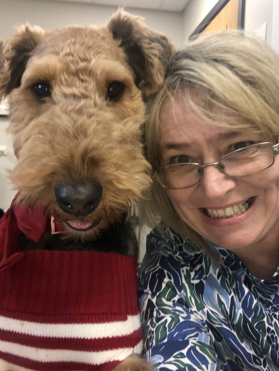 LSEATWoodside's tweet photo. @LSEATWoodside Miss Honey and Miss Vincent were busy working hard today. #cutepicture #christmasjumper #thedogmentor https://t.co/5SwpPnND06