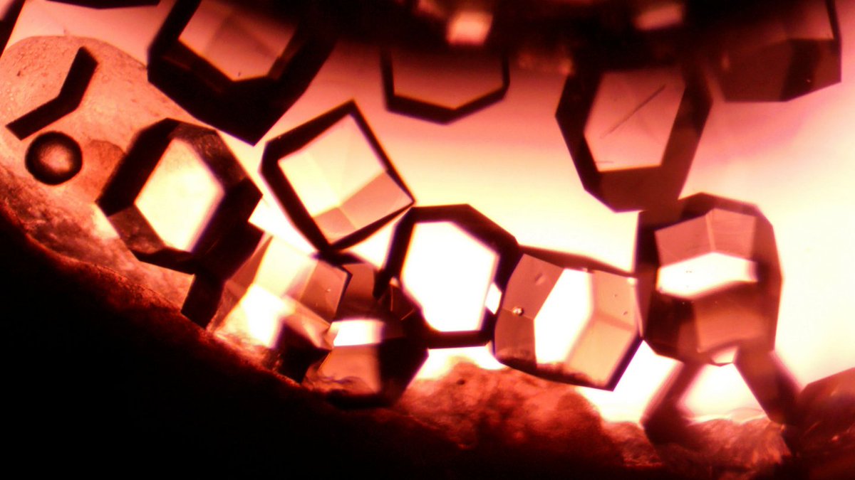 NASA (@nasa) on Twitter photo From studying how different materials catch fire in space, to capturing spectacular images of Earth, our <a href="/NASA_Astronauts/">ARCHIVED NASA Astronauts</a> aboard the <a href="/Space_Station/">International Space Station</a> kept busy in 2024. Check out some of our favorite <a href="/ISS_Research/">ISS_Research</a> images of the year. From studying how different materials catch fire in space, to capturing spectacular images of Earth, our <a href="/NASA_Astronauts/">ARCHIVED NASA Astronauts</a> aboard the <a href="/Space_Station/">International Space Station</a> kept busy in 2024. Check out some of our favorite <a href="/ISS_Research/">ISS_Research</a> images of the year.
