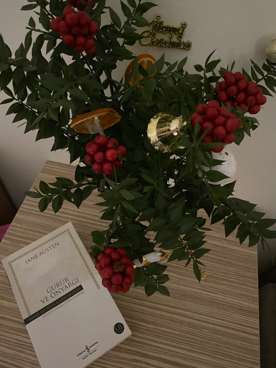 Saliha Bol tweet media