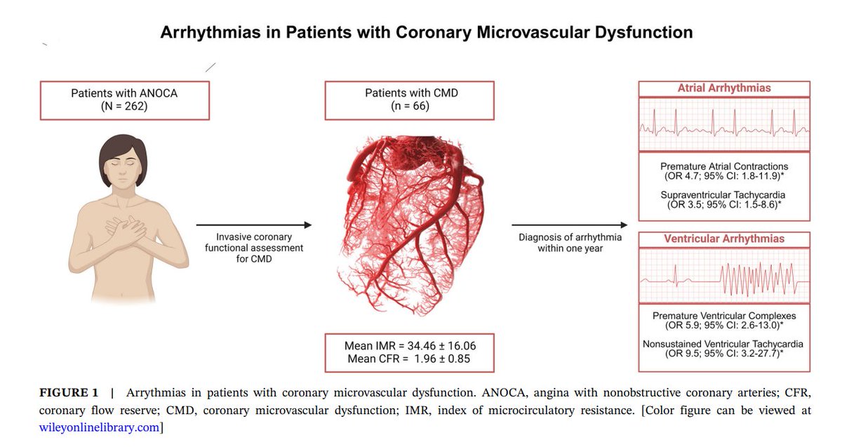 BCaseMD (@bcase07) on Twitter photo Our recent analysis from CMDR demonstrating that patient with ANOCA due to CMD have a higher likelihood of arrhythmias, especially ventricular arrhythmias. <a href="/ccijournal/">CCIjournal</a>
<a href="/KalChitturi/">Kalyan Chitturi</a> <a href="/Sant_J_Kumar/">Sant Kumar</a> <a href="/ronwaksman/">ron waksman</a> <a href="/HashimHayder/">Hayder Hashim</a> <a href="/CRT_meeting/">CRT Meeting</a>
onlinelibrary.wiley.com/doi/10.1002/cc… Our recent analysis from CMDR demonstrating that patient with ANOCA due to CMD have a higher likelihood of arrhythmias, especially ventricular arrhythmias. <a href="/ccijournal/">CCIjournal</a>
<a href="/KalChitturi/">Kalyan Chitturi</a> <a href="/Sant_J_Kumar/">Sant Kumar</a> <a href="/ronwaksman/">ron waksman</a> <a href="/HashimHayder/">Hayder Hashim</a> <a href="/CRT_meeting/">CRT Meeting</a>
onlinelibrary.wiley.com/doi/10.1002/cc…