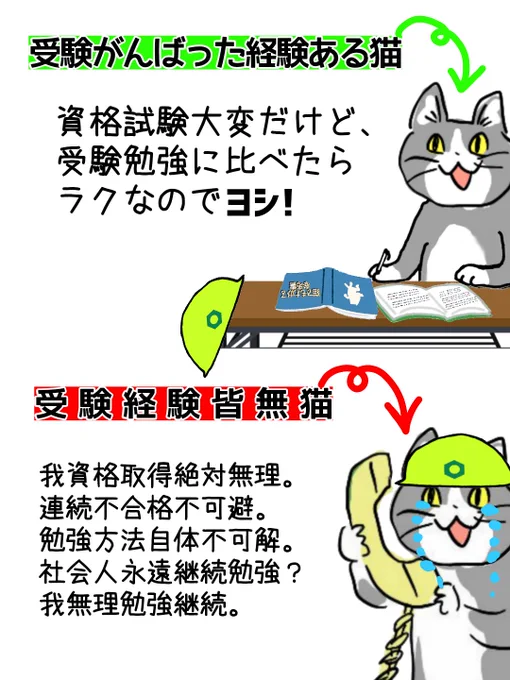 受験生のみんな!
がんばった経験はその後の人生で必ず生きてくるぞ! #現場猫 