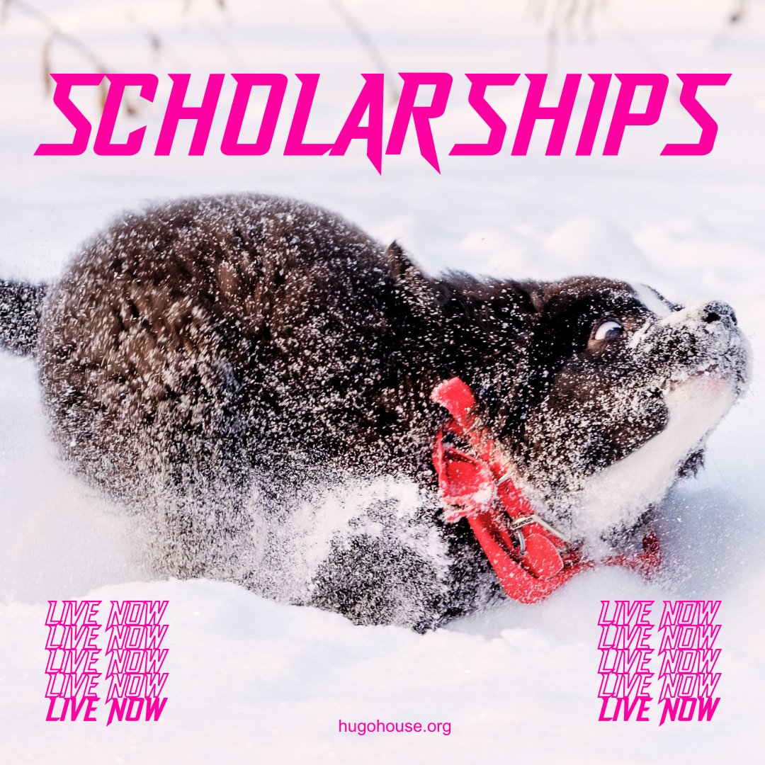 2025 is your year to WRITE! 

Write your first short story, explore erotic poetry, plot your novel, deep dive into your poetic voice, write about the ick, keep a seasonal journal, nerd out about movies, and more!

#creativewritingclasses #scholarships #writingclasses
