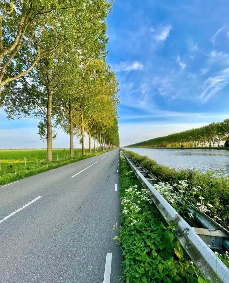 This is an incredible one-shot in the Netherlands.