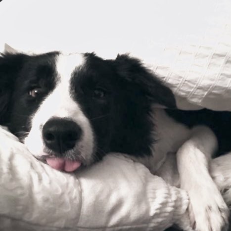 ㅤ
 
         “ห้ะ อะไรนะ นายฝันว่าผมเป็นม๋าตัวที่วิ่งแถวทะเลสาบหรอ”

            “บ๊าาาาาา มันก็แค่ฝัน” 😨

             #𝐇𝐨𝐠𝐰𝐚𝐫𝐭𝐬𝐕𝐞𝐫𝐬𝐞

ㅤ