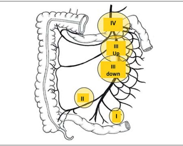 Julie Hallet tweet media