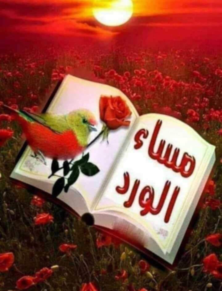 MuhamadAlf69757's tweet photo. @amyreh10 @almlkeh1 https://t.co/pcHO6o1Z0b