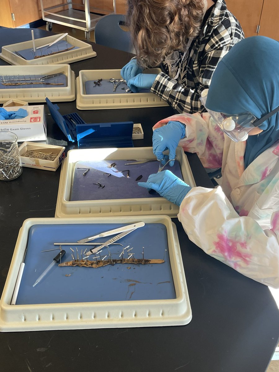 Center for Environmental Studies & Sustainability tweet media