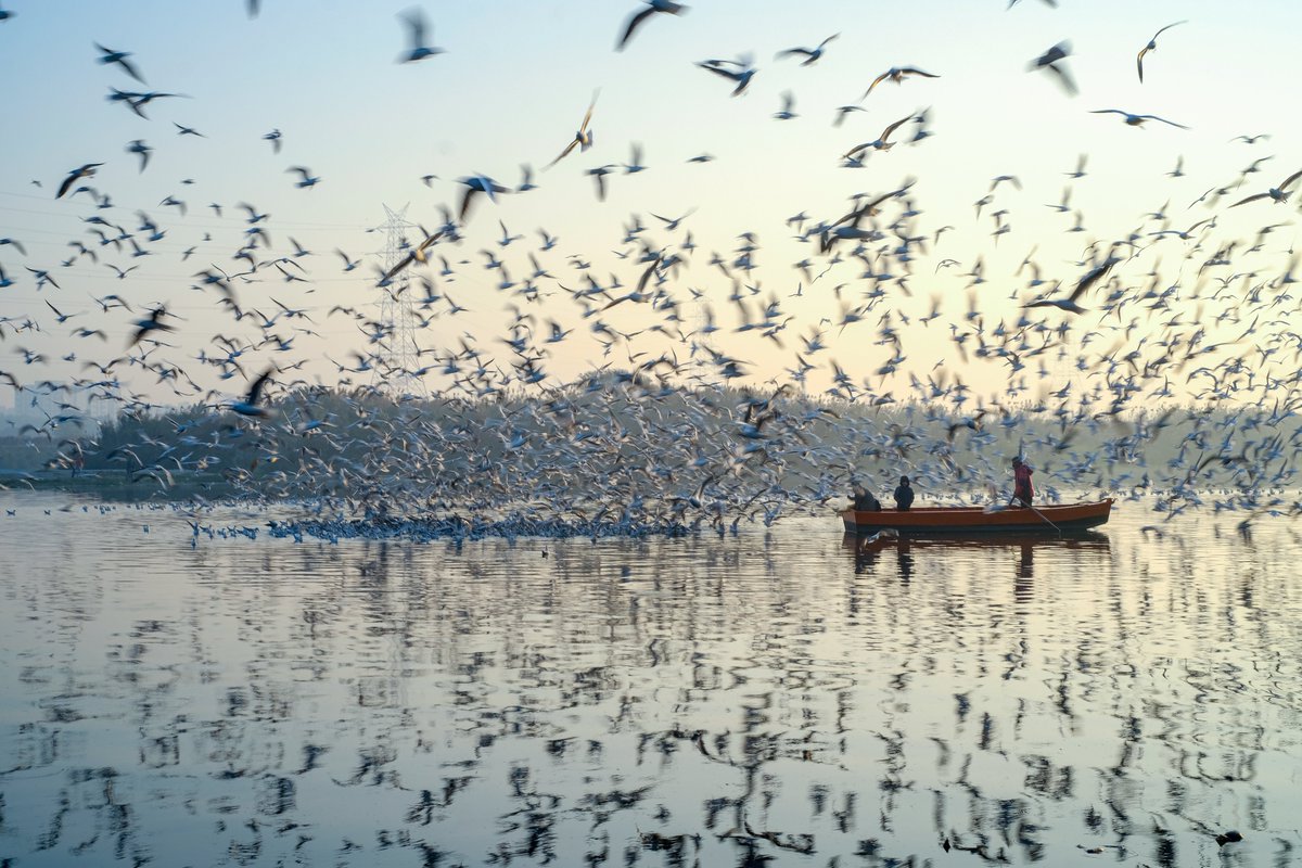 Mário Pais 📸 tweet media