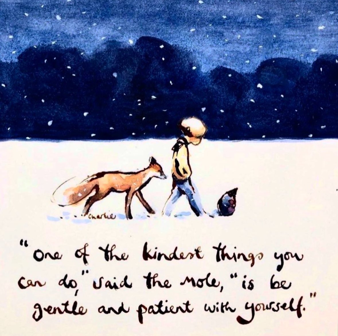 Suzanne Steel tweet media