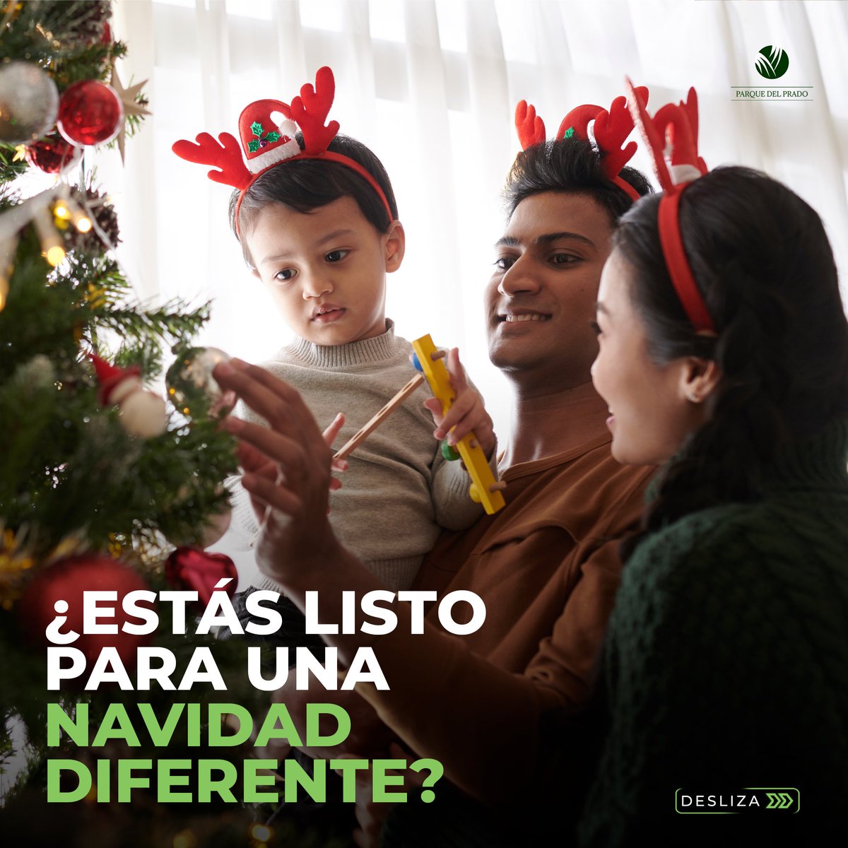 ParqueDelPrado's tweet photo. La 𝗻𝗮𝘃𝗶𝗱𝗮𝗱 va más allá de luces y regalos. Es el momento perfecto para reconectar con lo esencial: la naturaleza.

En 𝗣𝗮𝗿𝗾𝘂𝗲 𝗱𝗲𝗹 𝗣𝗿𝗮𝗱𝗼, ¡honramos la vida! 

#ParquedelPrado
#serviciosexequiales https://t.co/UrIiBCfySN