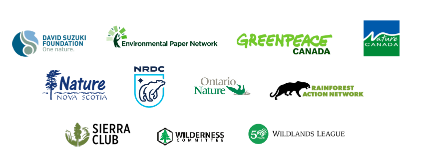 EPN and allies call for scrutiny of Domtar - APP ties. Transparency and accountability are essential for a sustainable future. Read the full joint statement: environmentalpaper.org/2024/12/joint-…