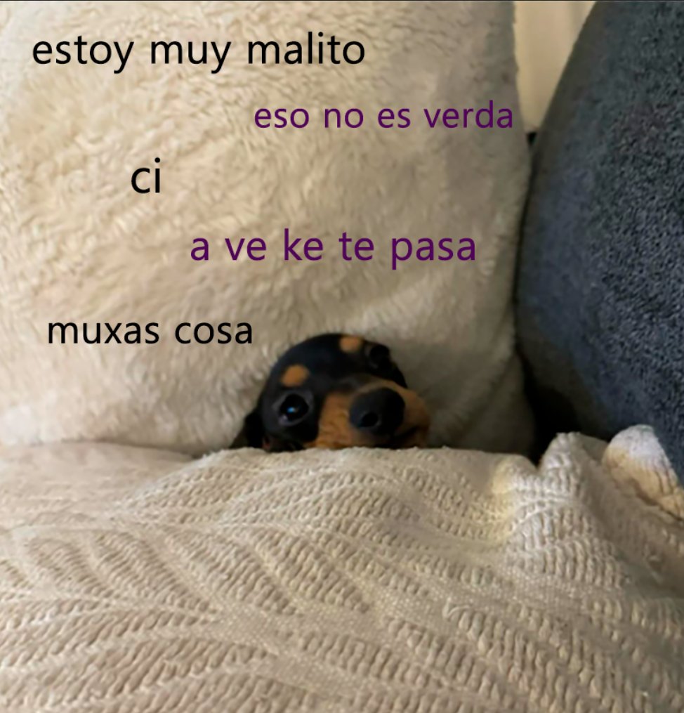 MALACARA (@malacarasev) on Twitter photo 