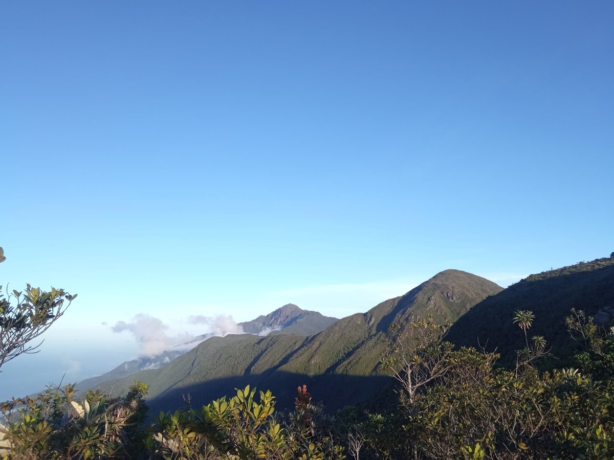 GE OIKOS tweet media