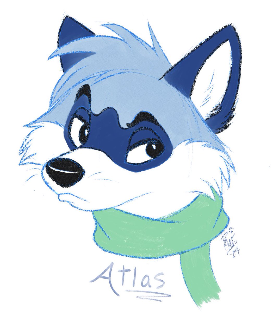 🧵Paws🪡 tweet media