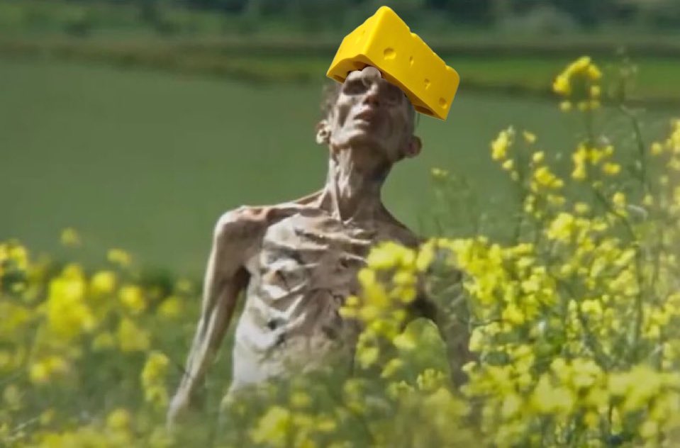 Mike Ro 🧀 tweet media