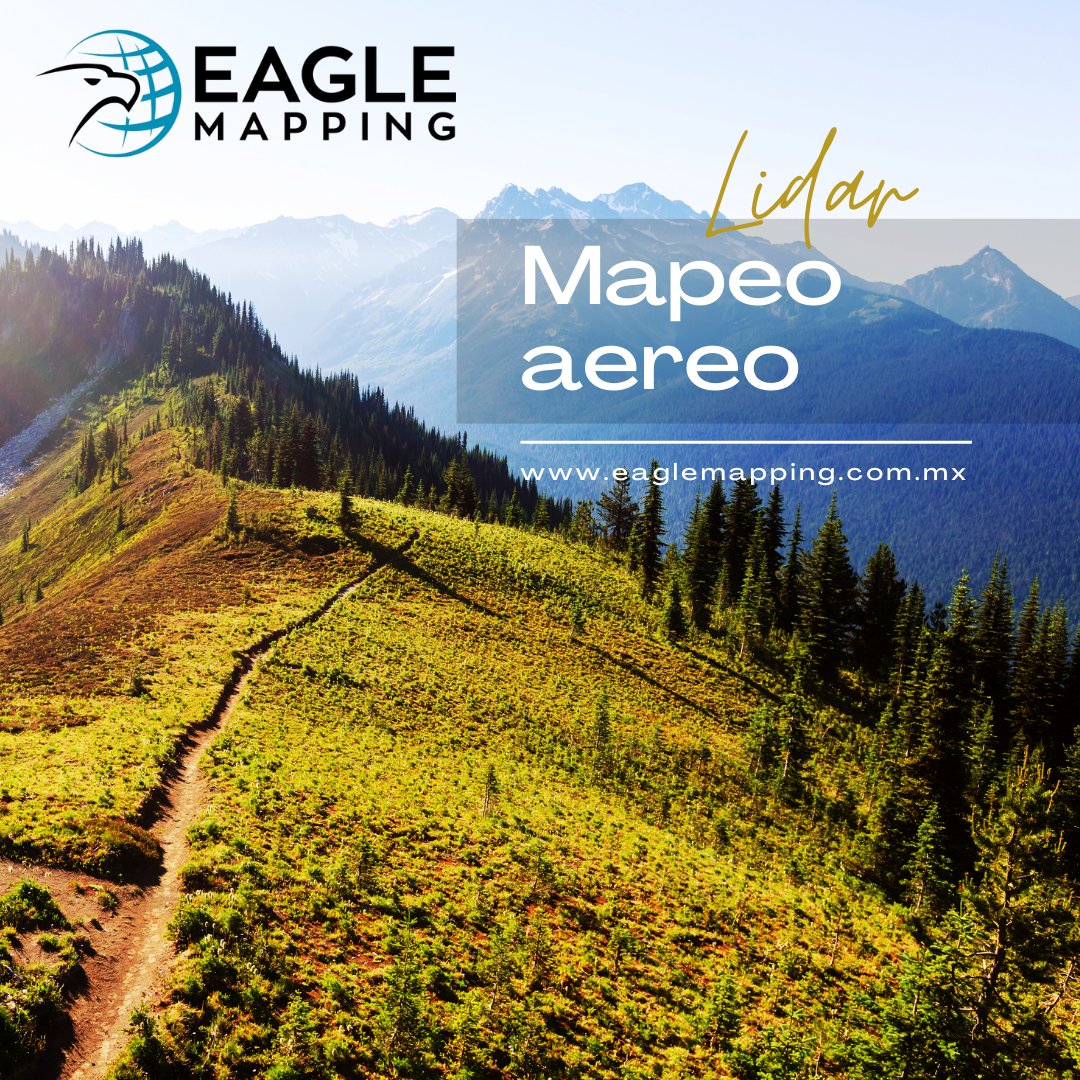 Eagle Mapping tweet media