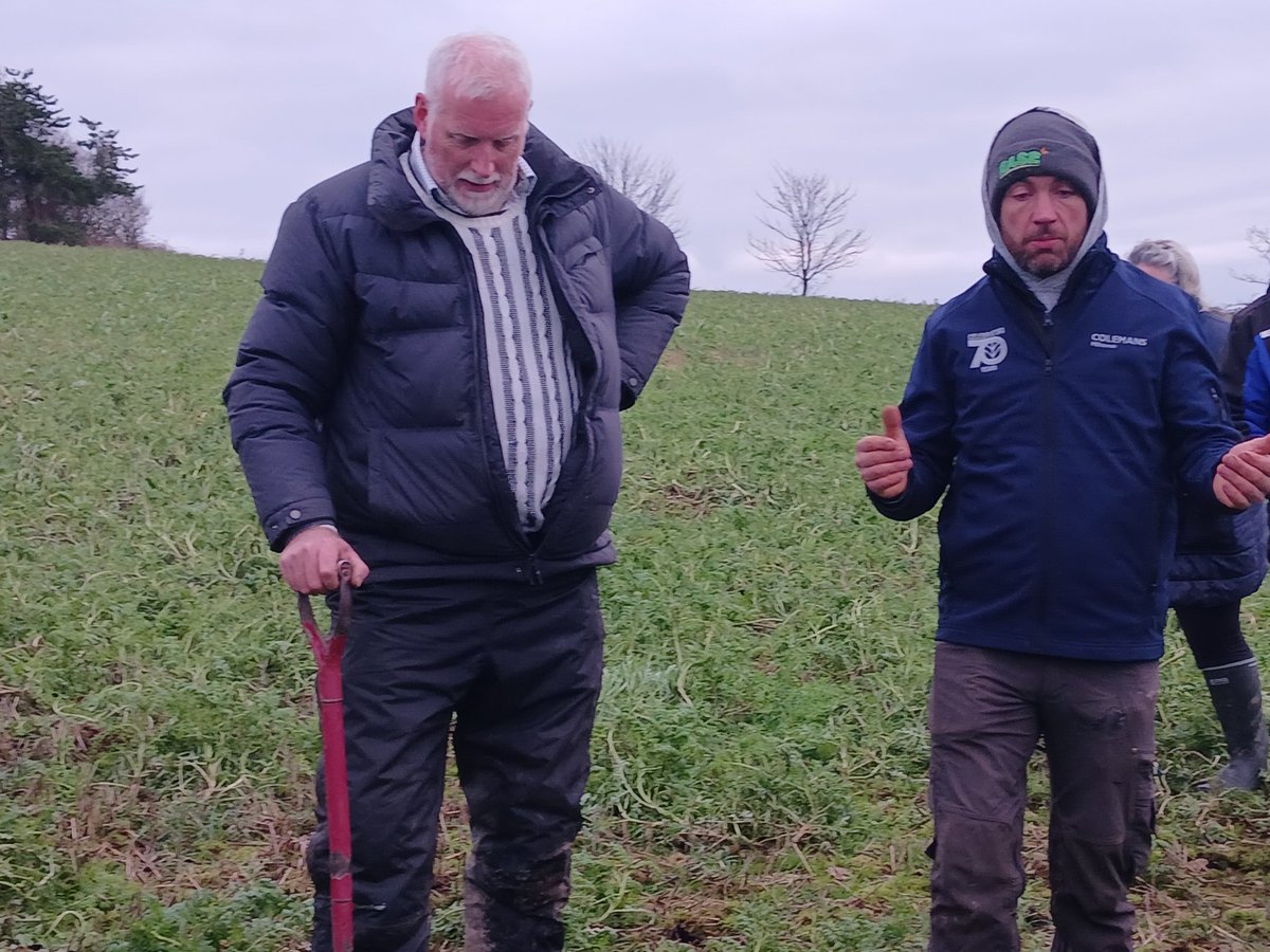Geraghty_Notill's tweet image. Fantastic @BaseIreland field day with Billy & @robbycoleman1 in Mallow; excellent agronomy insights from @NeilDouglasFul1 Great discussions on carbon, CCs, cultivations, no-till, nutrient cycling, soil, water @agriculture_ie @NatOrgSkill @Dept_ECC @SETUAgriculture @DeptOfSciSETU