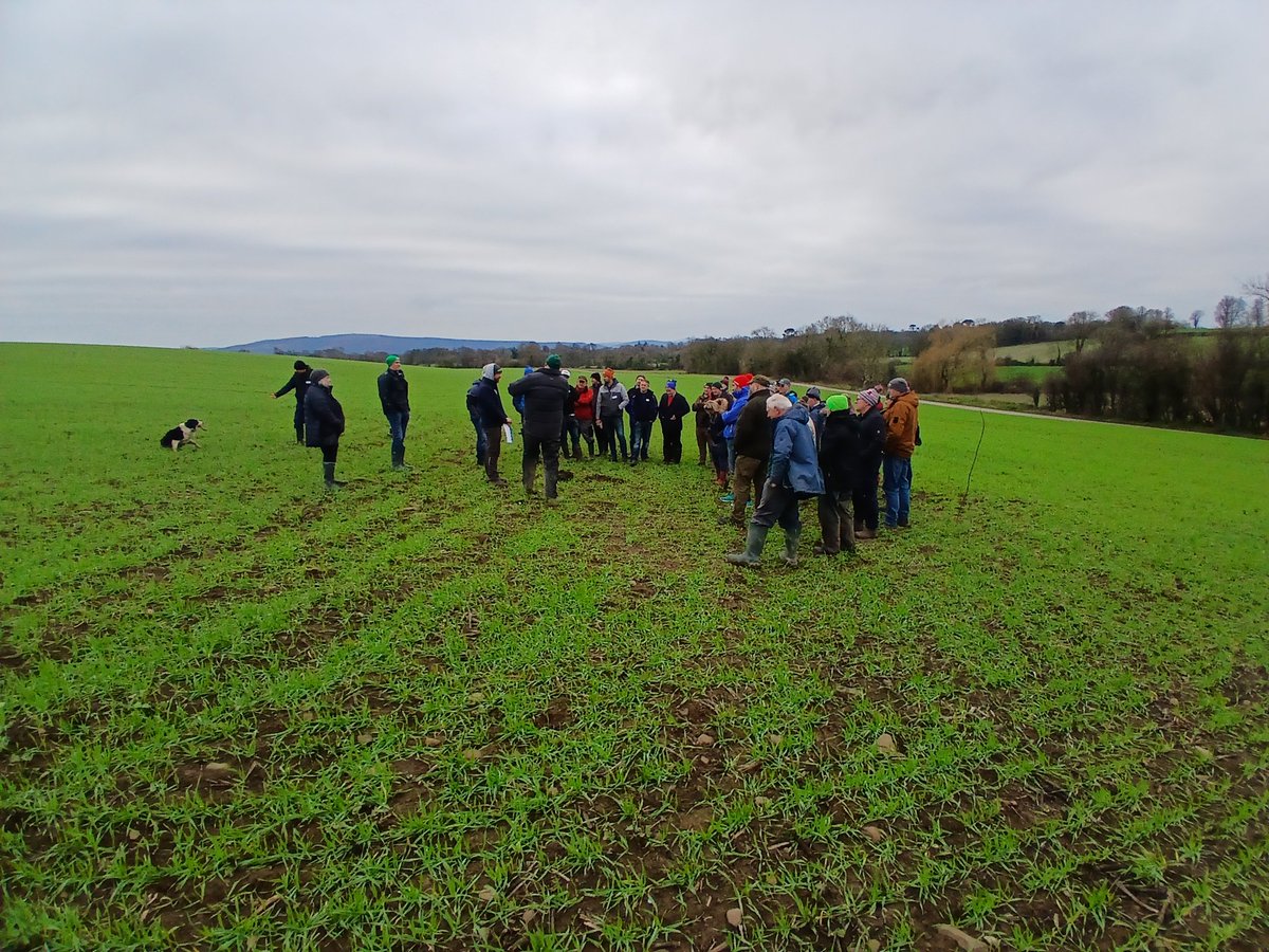 Geraghty_Notill's tweet image. Fantastic @BaseIreland field day with Billy & @robbycoleman1 in Mallow; excellent agronomy insights from @NeilDouglasFul1 Great discussions on carbon, CCs, cultivations, no-till, nutrient cycling, soil, water @agriculture_ie @NatOrgSkill @Dept_ECC @SETUAgriculture @DeptOfSciSETU