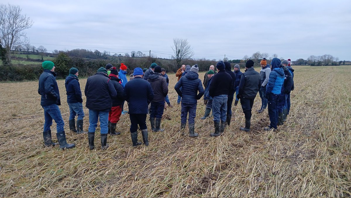 Geraghty_Notill's tweet image. Fantastic @BaseIreland field day with Billy & @robbycoleman1 in Mallow; excellent agronomy insights from @NeilDouglasFul1 Great discussions on carbon, CCs, cultivations, no-till, nutrient cycling, soil, water @agriculture_ie @NatOrgSkill @Dept_ECC @SETUAgriculture @DeptOfSciSETU