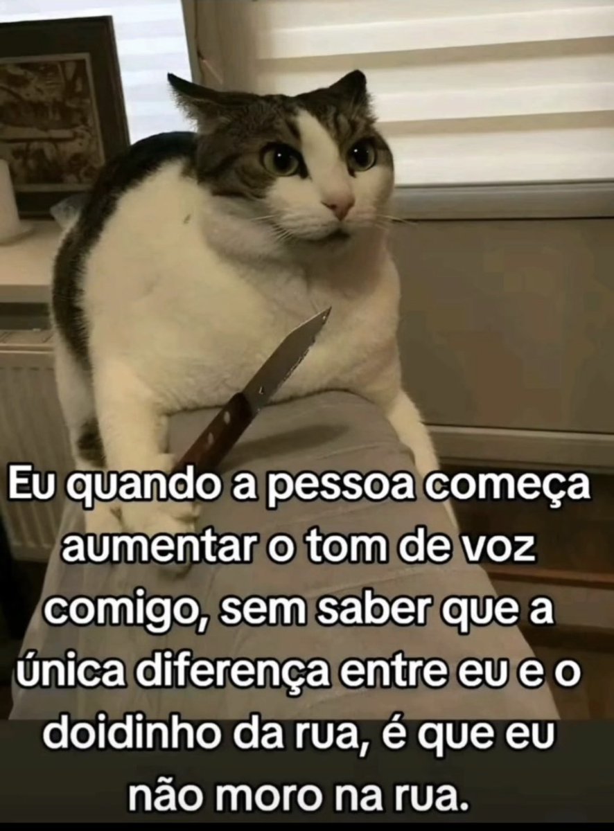 memes sem contexto (@drugsanny) on Twitter photo 