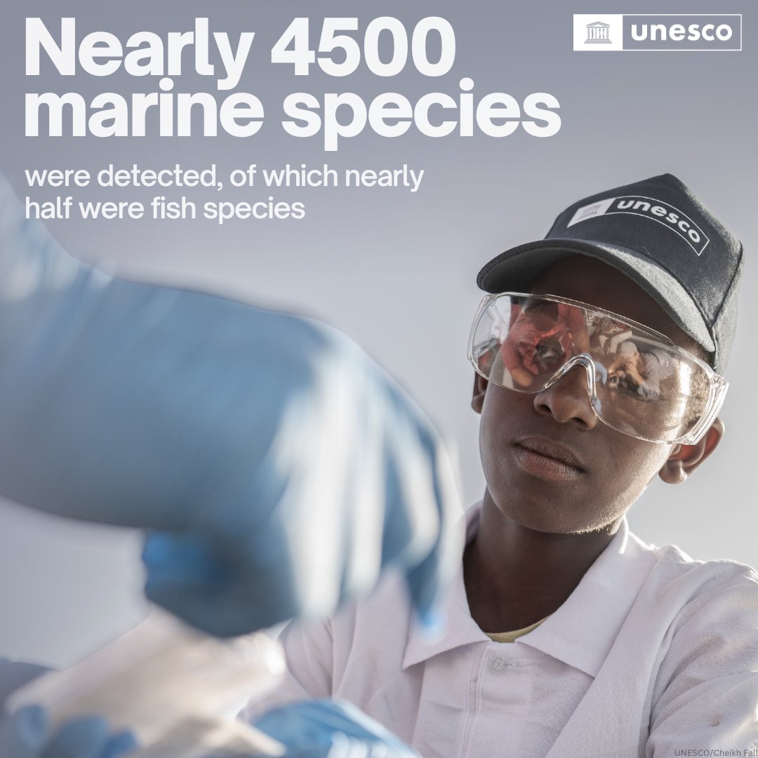 A drop of water holds endless information about our ocean.

<a href="/UNESCO/">UNESCO 🏛️ #Education #Sciences #Culture 🇺🇳</a>’s eDNA technology is decoding marine biodiversity and revealing the impacts of climate change.

Our new report shows how this innovation is shaping the future of ocean research: unes.co/370z5x