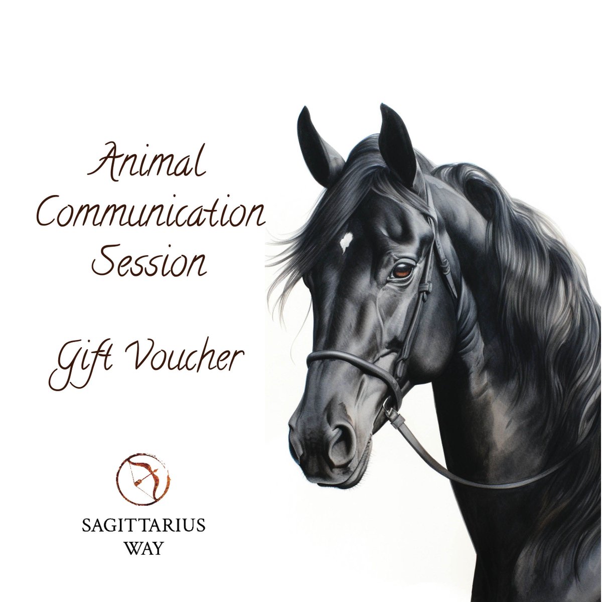 Sagittarius Way tweet media